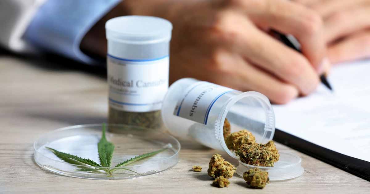 Medicinal Cannabis – Does it Really Work?